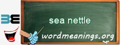 WordMeaning blackboard for sea nettle